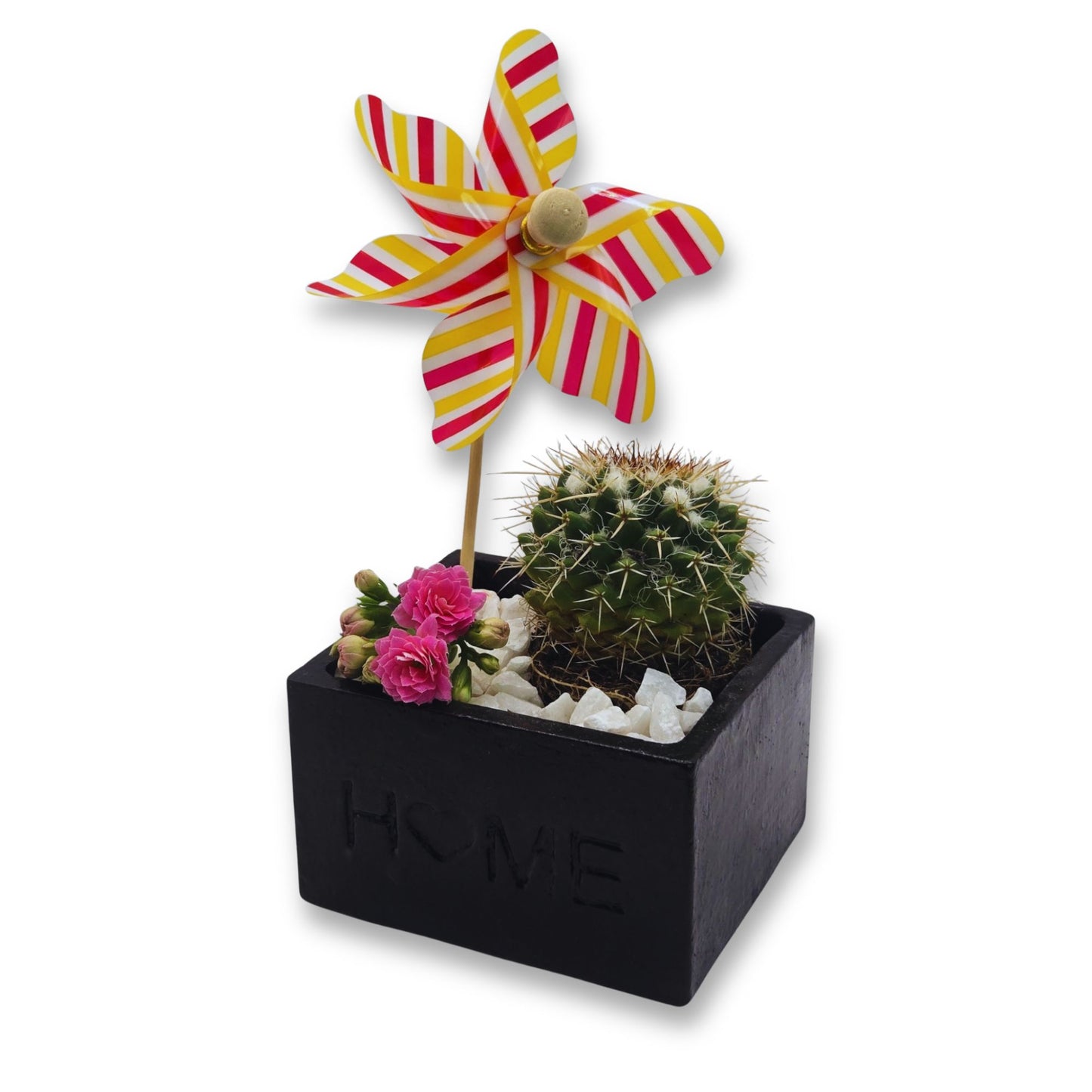 Small black planter with a cactus, pink flowers, and a colorful windmill on a white background