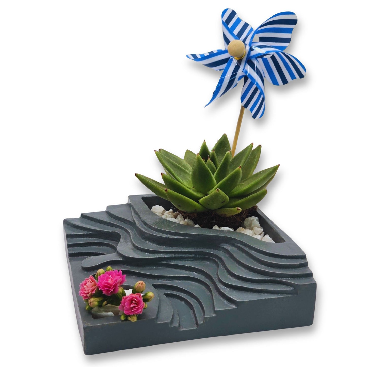 Decorative step planter with a succulent, small pink flowers, and a blue and white striped windmill on a white background.