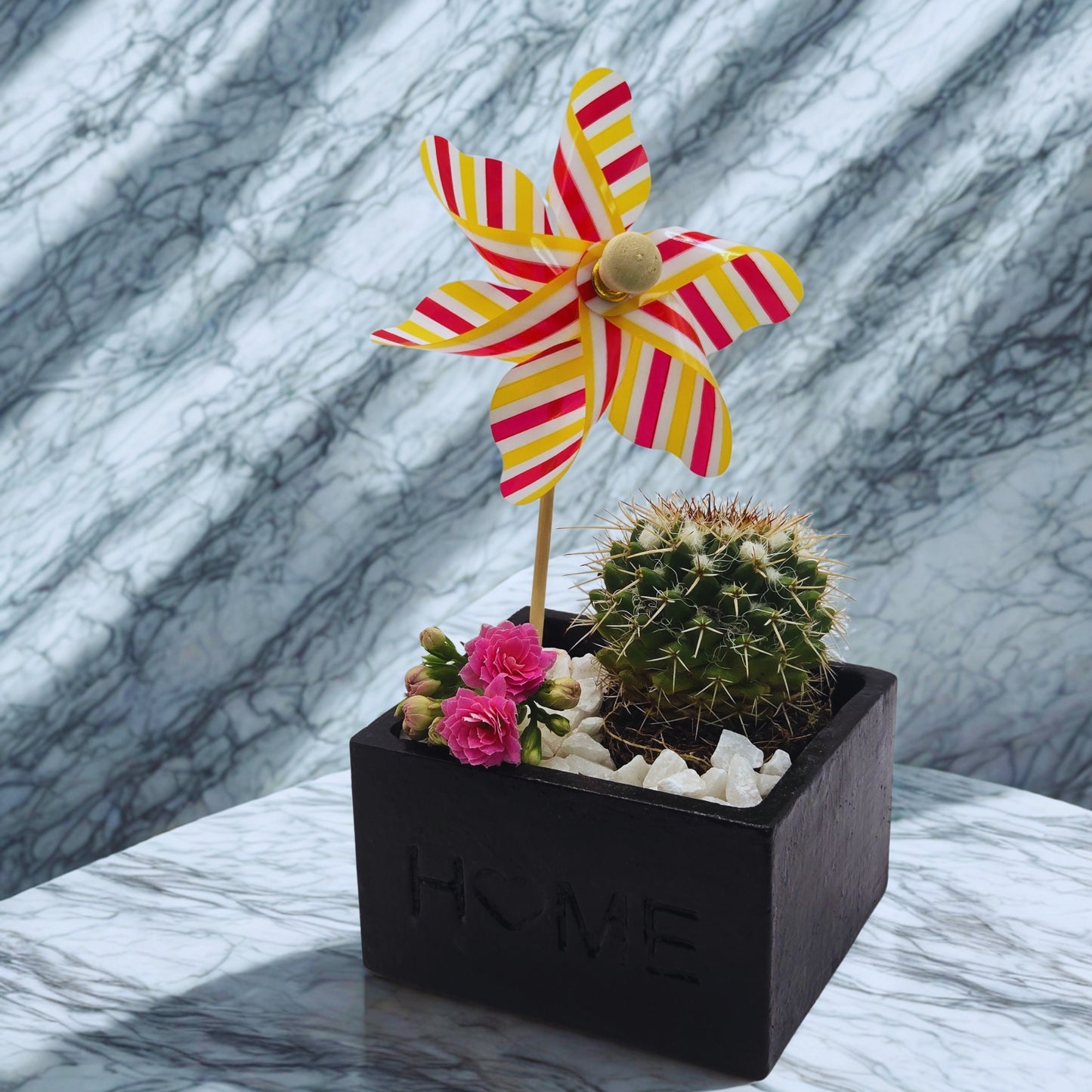 Decorative object with a cactus, flowers, and a colorful pinwheel on a marble surface.